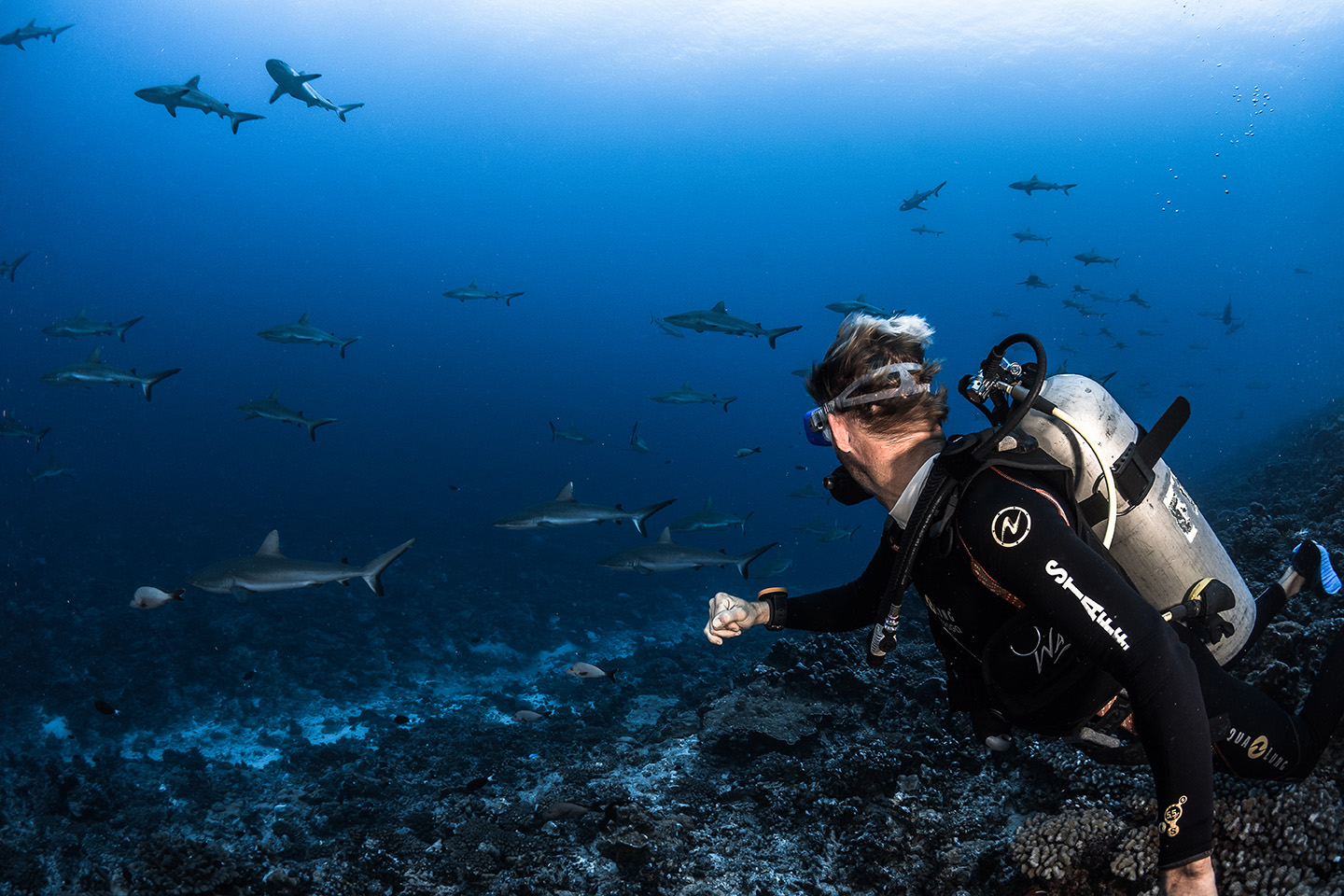 Pessoa praticando snorkel nas águas cristalinas das Ilhas da Sociedade, na Polinésia Francesa.